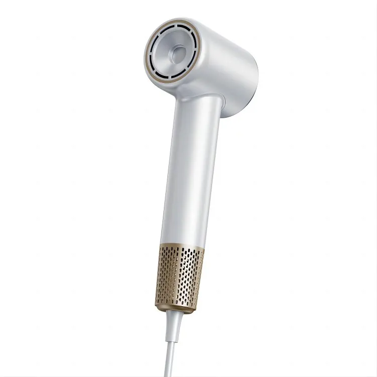 Hair Dryer Personalizzat Professjonali